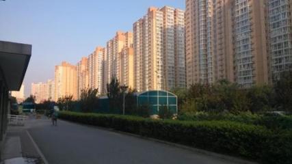盛世聯(lián)行 全方位房地產(chǎn)專業(yè)咨詢服務(wù)，賦能資產(chǎn)價(jià)值與市場流通