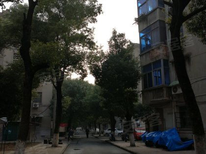 戚廠工房北區(qū)深度解析 居住優(yōu)勢與不足，以及周邊經(jīng)紀(jì)人專業(yè)評價